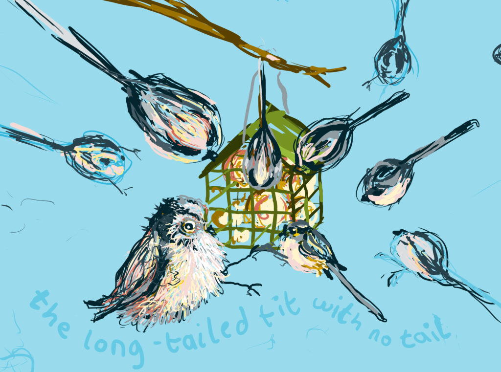 A flock of long tailed tits on a bird feeder, one without a tail